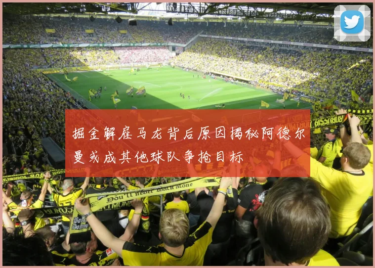 掘金解雇马龙背后原因揭秘阿德尔曼或成其他球队争抢目标