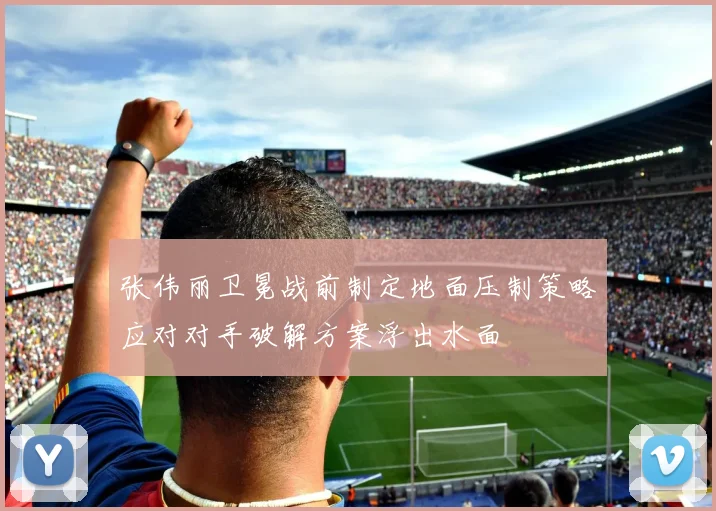 张伟丽卫冕战前制定地面压制策略应对对手破解方案浮出水面