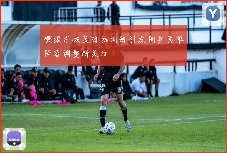 樊振东恢复对抗训练引发国乒男单阵容调整新关注